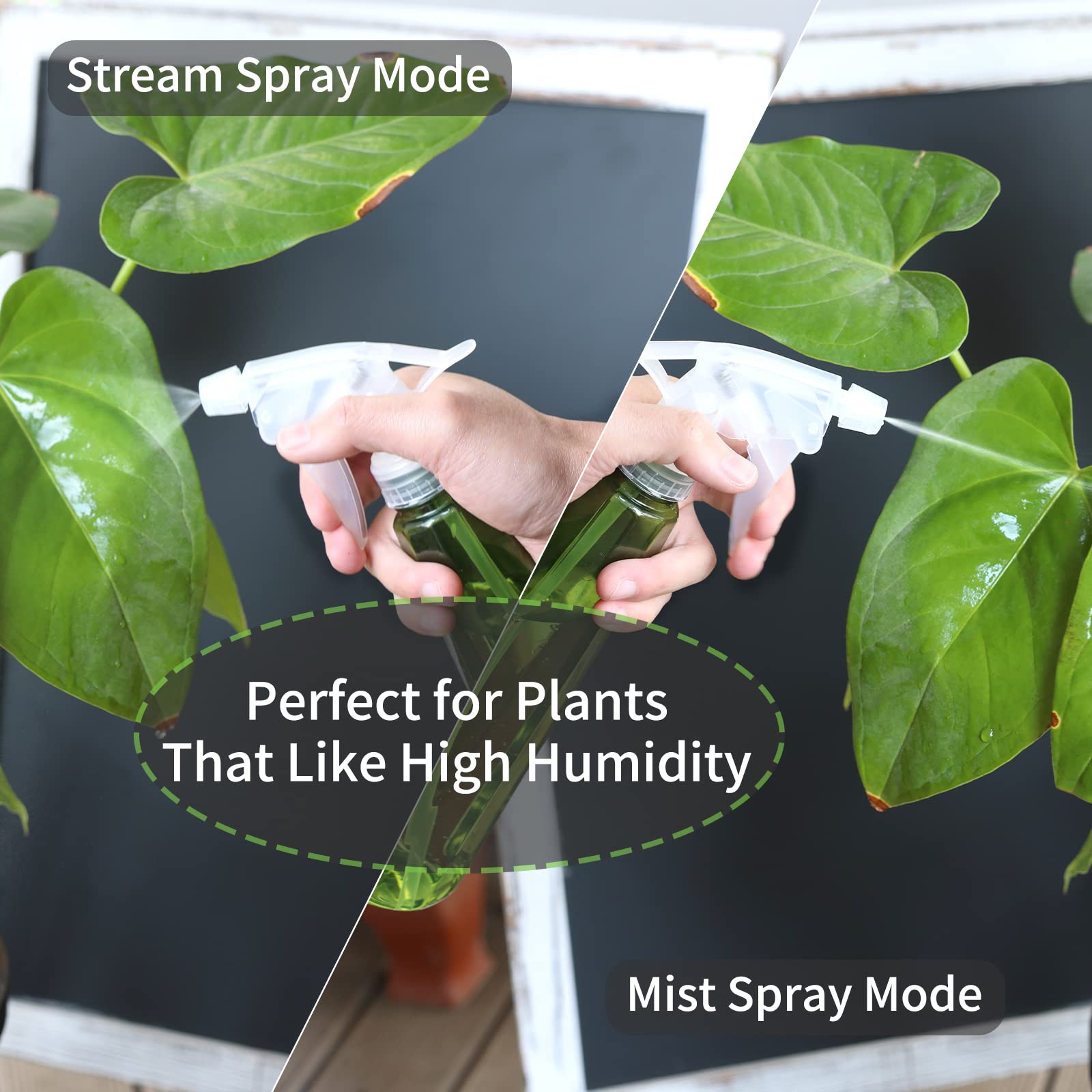 Goowin spray bottle demonstrates adjustable mist for plants.