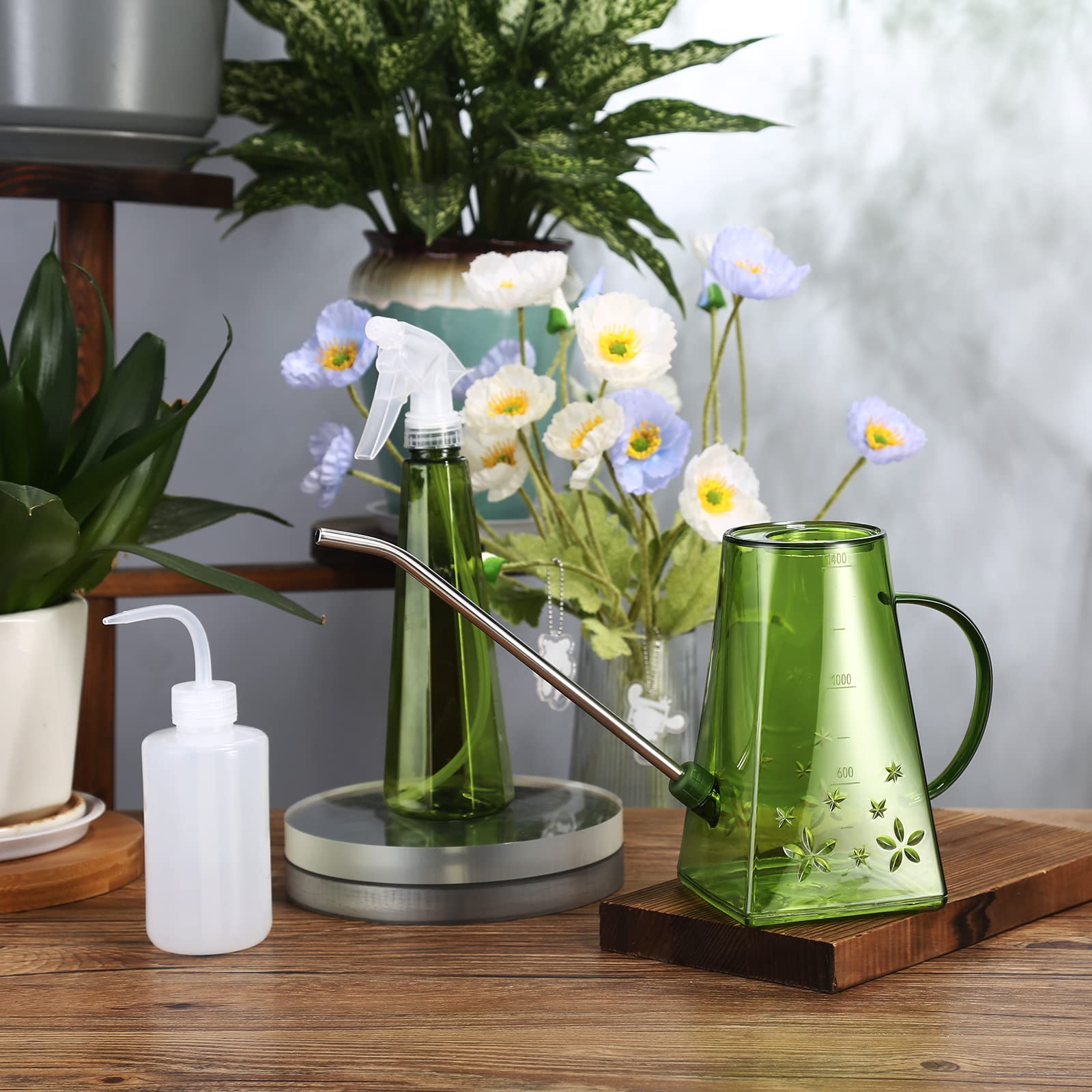 Goowin watering can with spray bottle for humidity-loving plants.