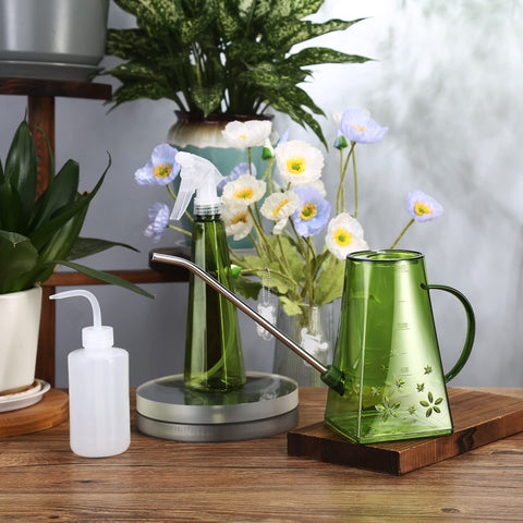 Goowin watering can with spray bottle for humidity-loving plants.