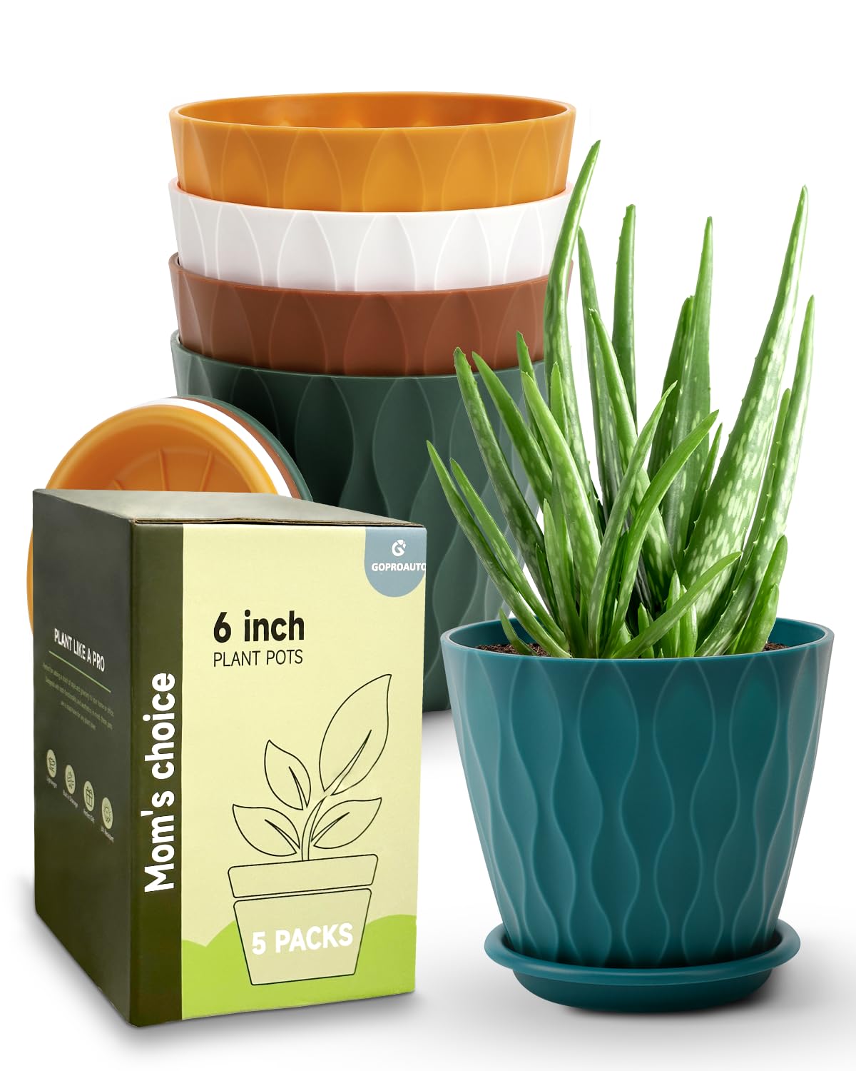 Goproauto 6-inch planter with drainage hole, ideal for indoor herbs and moisture control.