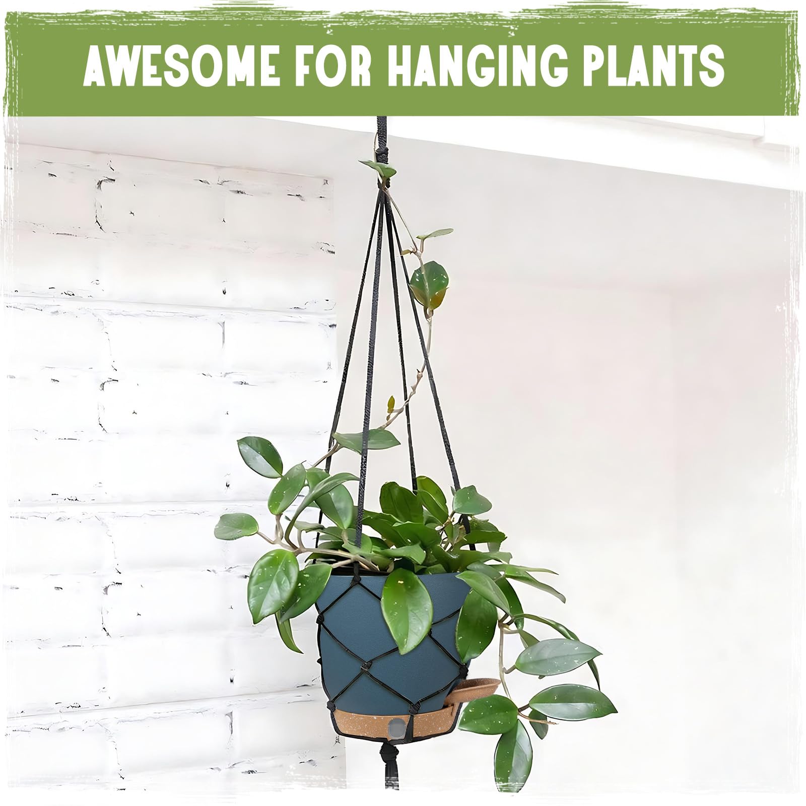 Goproauto indoor-outdoor planters complement any decor.