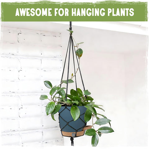 Goproauto indoor-outdoor planters complement any decor.