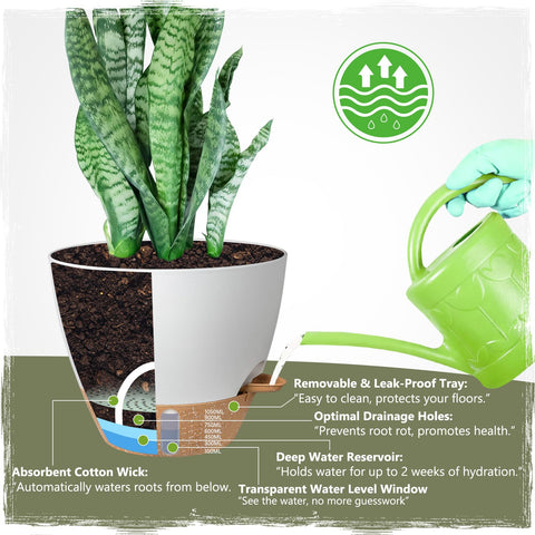 Goproauto self-watering 10-inch pot supports medium plants like monstera and pothos