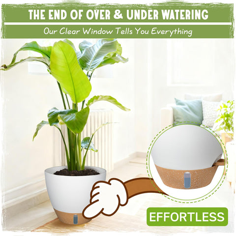 Goproauto self-watering 12-inch pot accommodates large plants and statements
