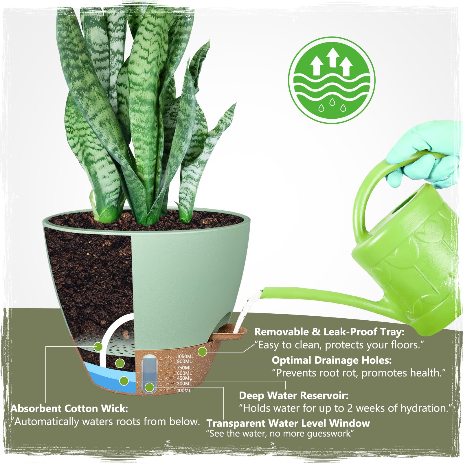 Goproauto 10 inch pot with detachable saucer for clean, leak-free setup.