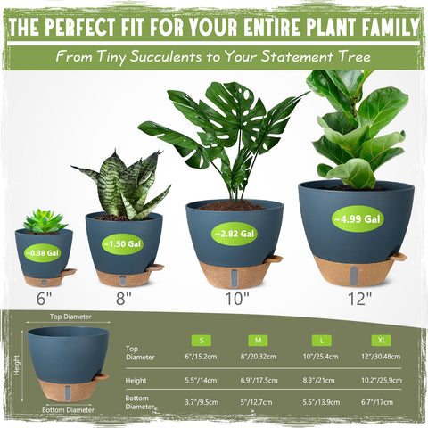 Goproauto 10-inch planter with reservoir view for larger plant care.