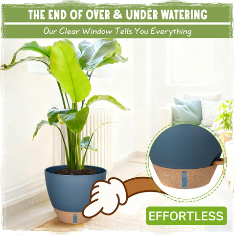 Goproauto 6-inch pot ideal for herbs with smart wick.