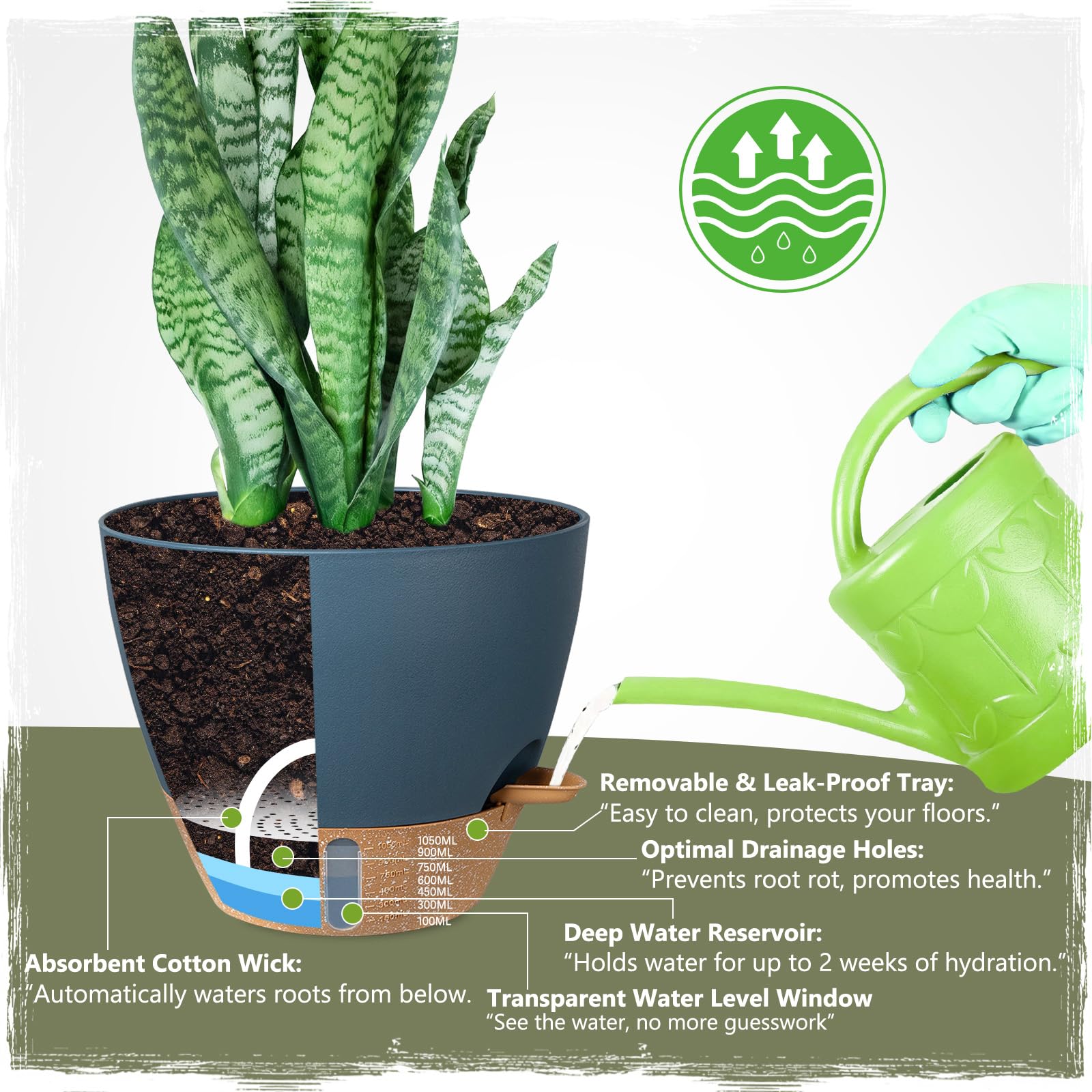 Goproauto 8-inch pot showing spill-proof drainage for clean interiors.