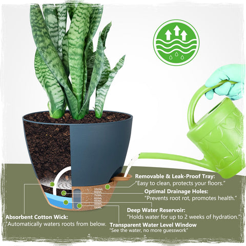 Goproauto 8-inch pot showing spill-proof drainage for clean interiors.