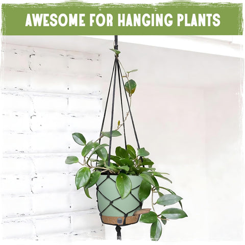 Goproauto self-watering pots support diverse collections with low maintenance.