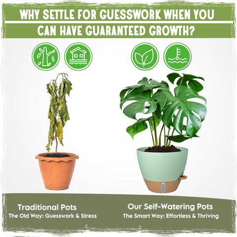Goproauto indoor decor pots blend with home style while supporting healthy roots.
