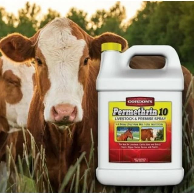 GORDON'S permethrin-10 concentrate in a 1-gallon jug for easy mixing.