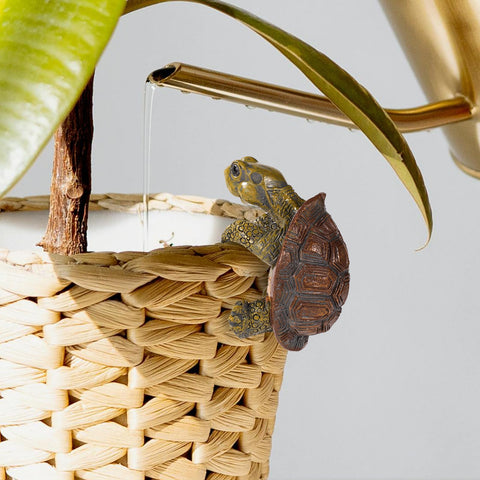 Gosknor cute turtle plant hanger terrarium ornament elevates small spaces.