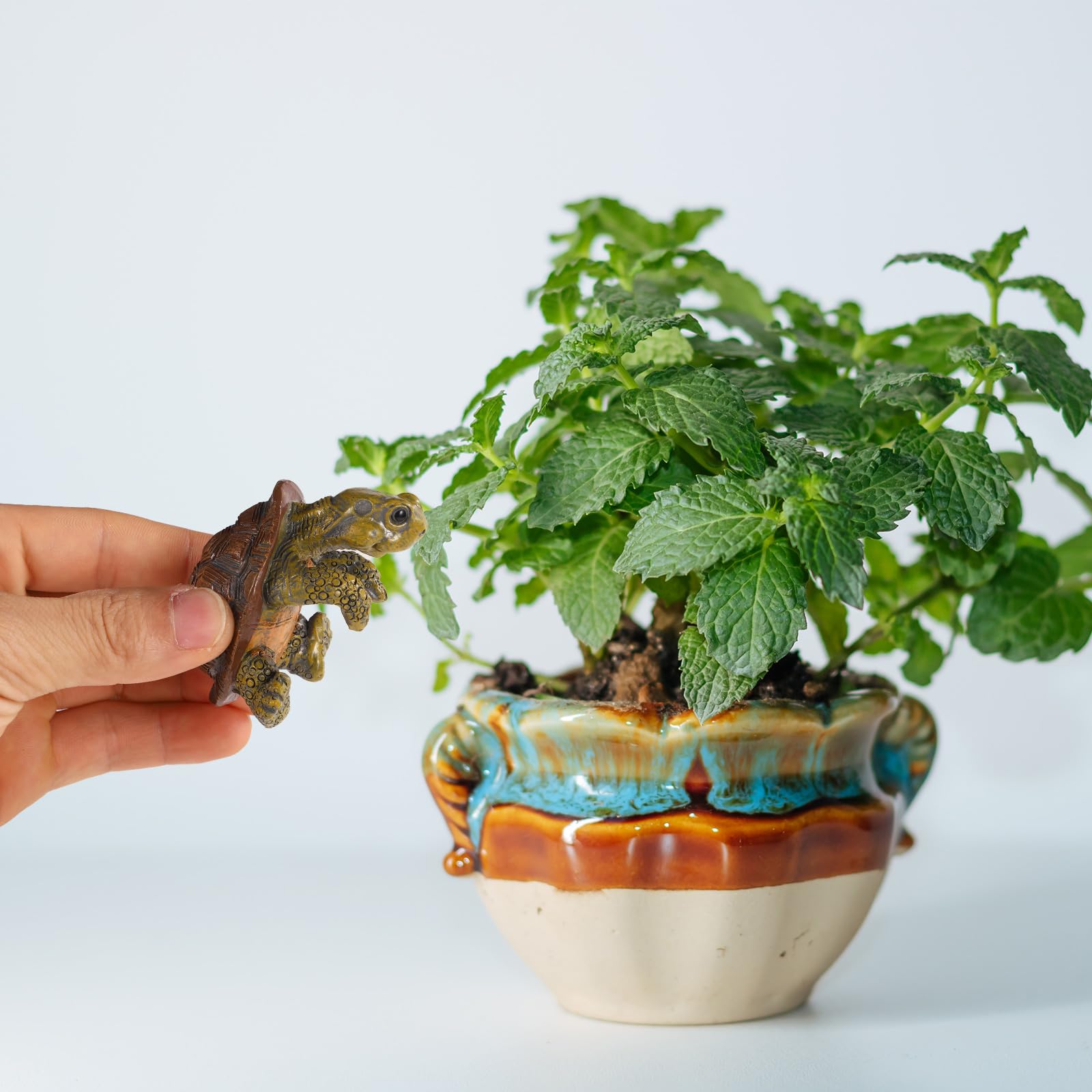 Gosknor turtle figure pot hanger for garden use, inviting smiles.