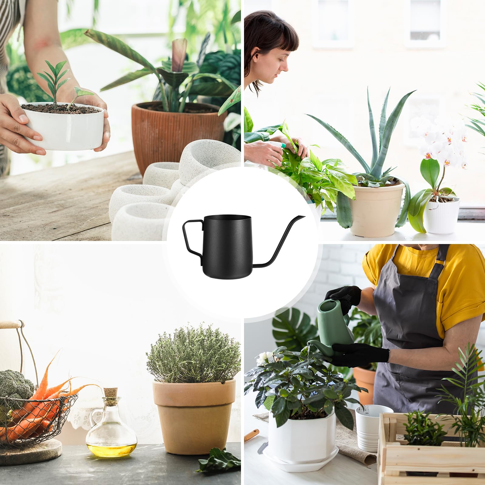 Gosknor versatile indoor and outdoor watering for plants.