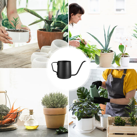 Gosknor versatile indoor and outdoor watering for plants.