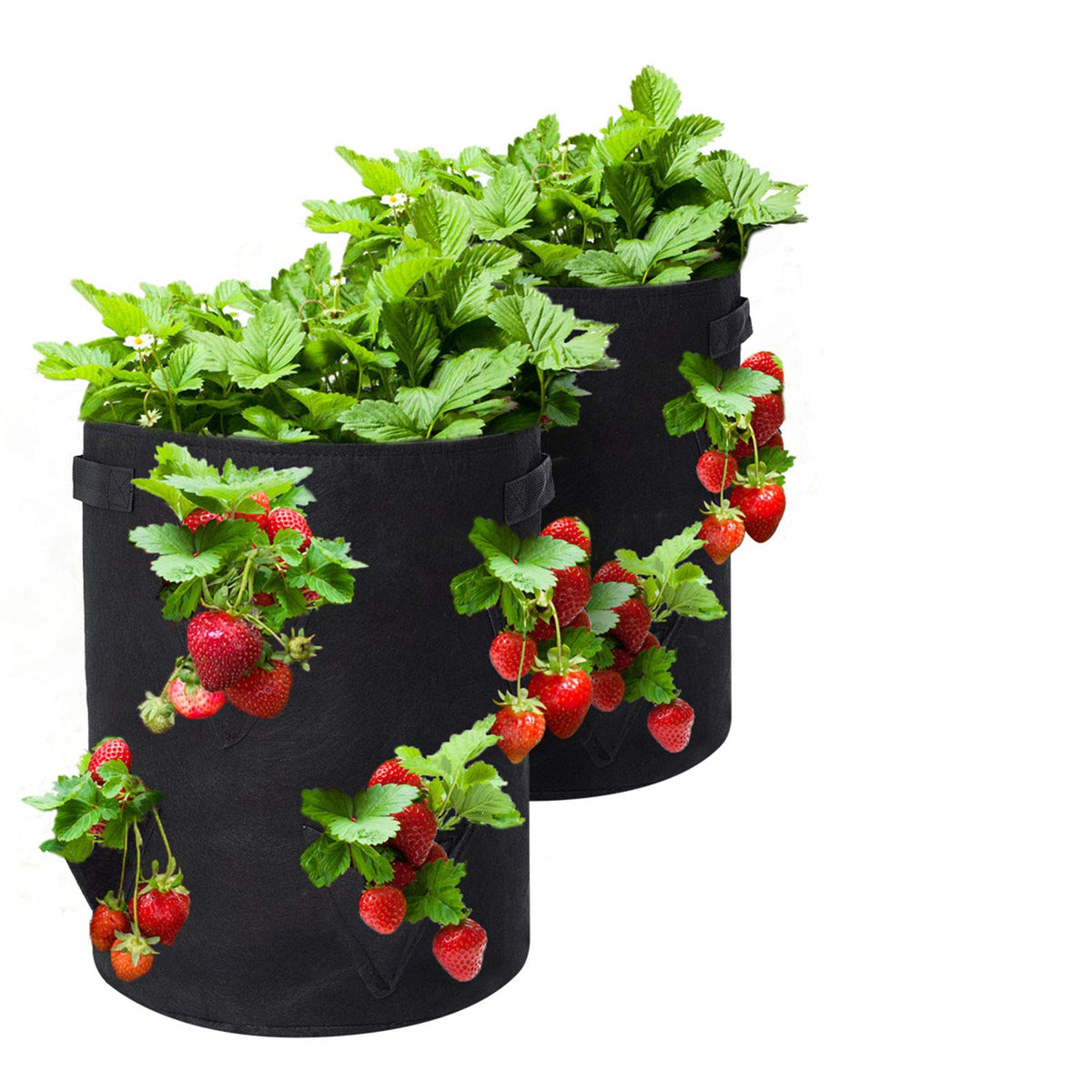 GOTGELIF 10 gallon strawberry grow bag, front view for compact balcony gardening and air-pruned roots.