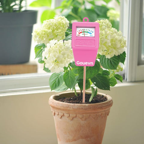 Gouevn probe in soil reads moisture at root level.