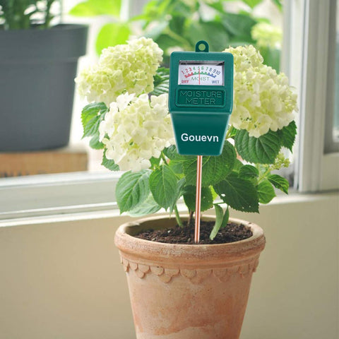 Gouevn moisture meter outdoors in garden near lawn and succulents