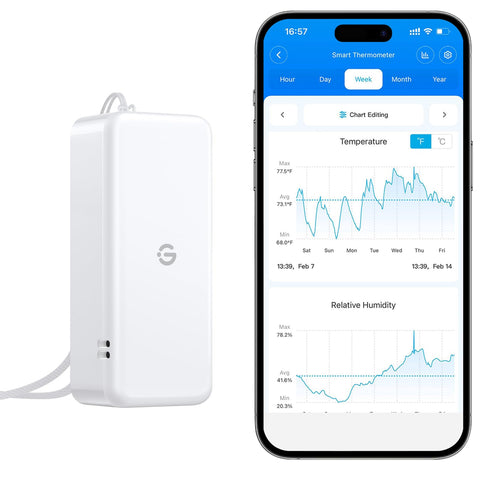 GoveeLife H5110 humidity sensor front view showing clear readings for cellar monitoring