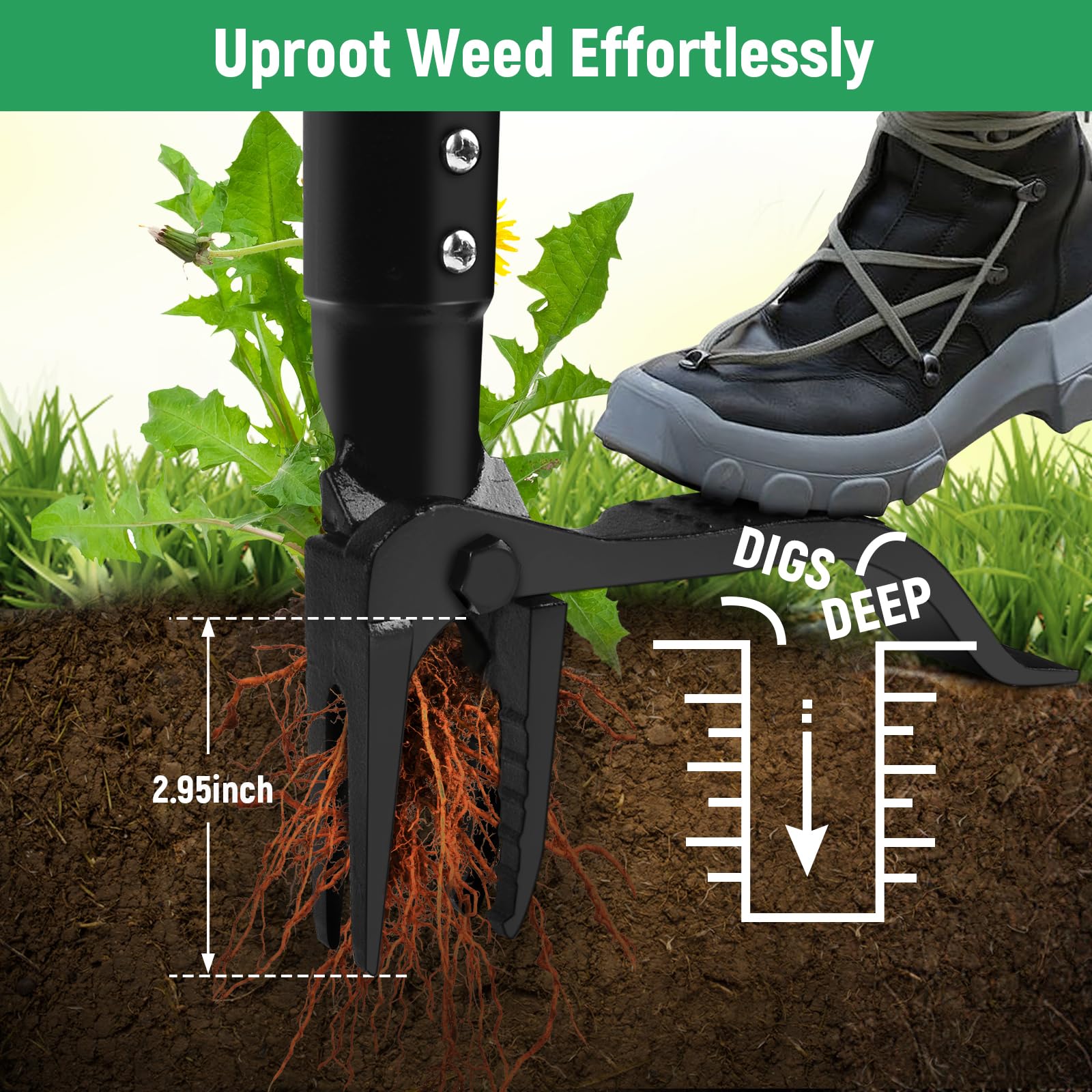 GOXAWEE weed puller showing the 46-inch handle for a comfortable stance