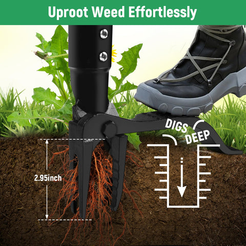 GOXAWEE weed puller showing the 46-inch handle for a comfortable stance