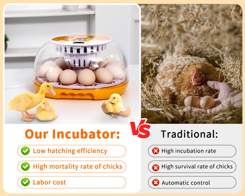 Gpeng Egg Incubator egg trays image emphasizes 12-egg capacity