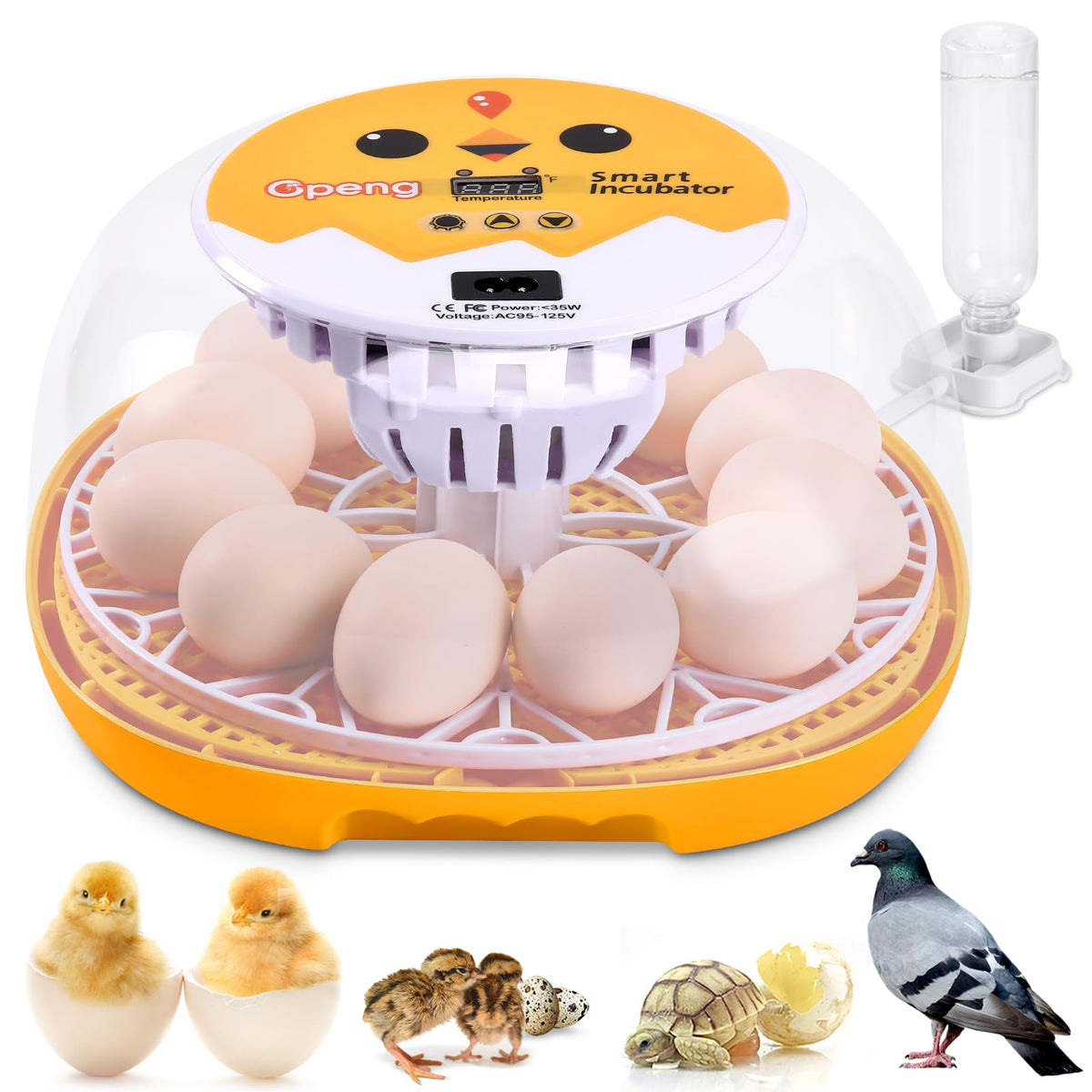 Gpeng Egg Incubator front view shows compact design for home hatchers