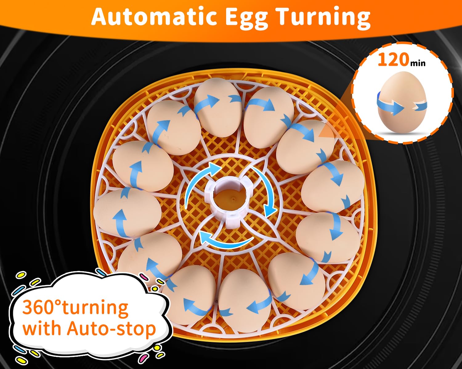Gpeng Egg Incubator side view demonstrates easy lid access for quick checks