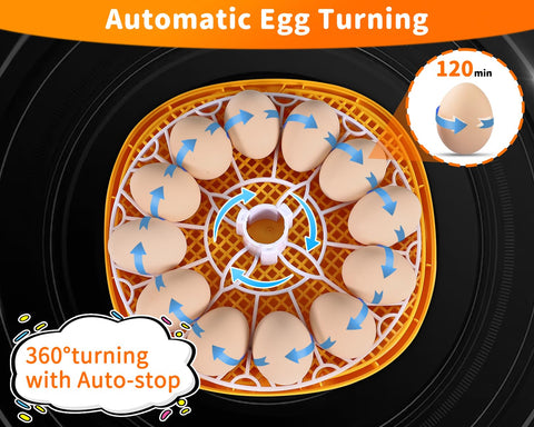 Gpeng Egg Incubator side view demonstrates easy lid access for quick checks