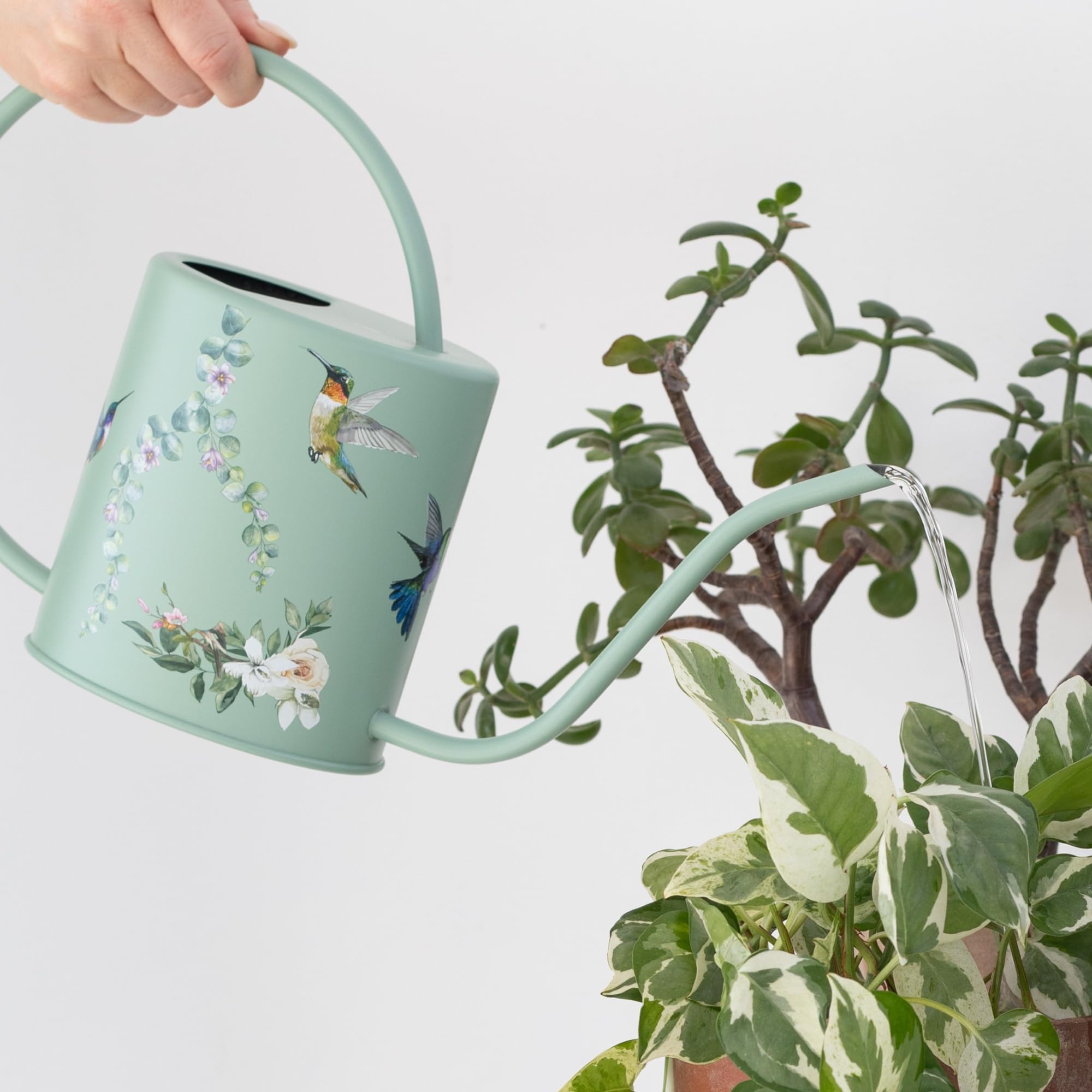 Grace and August hummingbird sage watering can long spout pour reaching tight spots