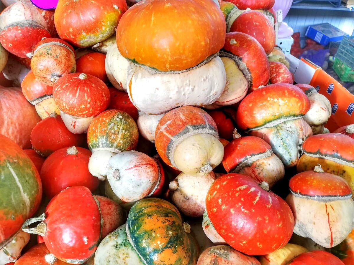 Graffiti GRDN Turks Turban harvest-ready slices for baking and serving.