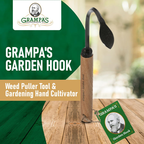 Grampa's Garden Hook digging head breaking through soil for planting