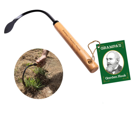 Grampa's Garden Hook weed puller tool in action for easy removal