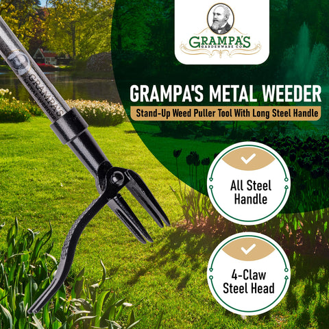 Grampa's Weeder 4-claw head in action removes weed roots with minimal soil disruption