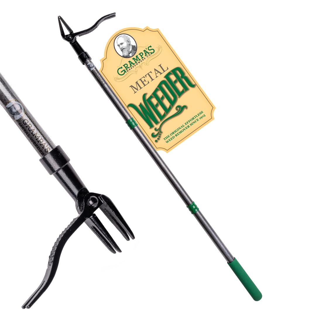 Grampa's Weeder stand-up weed puller with 45-inch steel handle eases bending during weeding