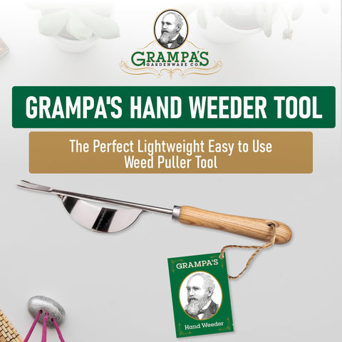 Grampa's Weeder with v-shaped forks in action for deep root removal.