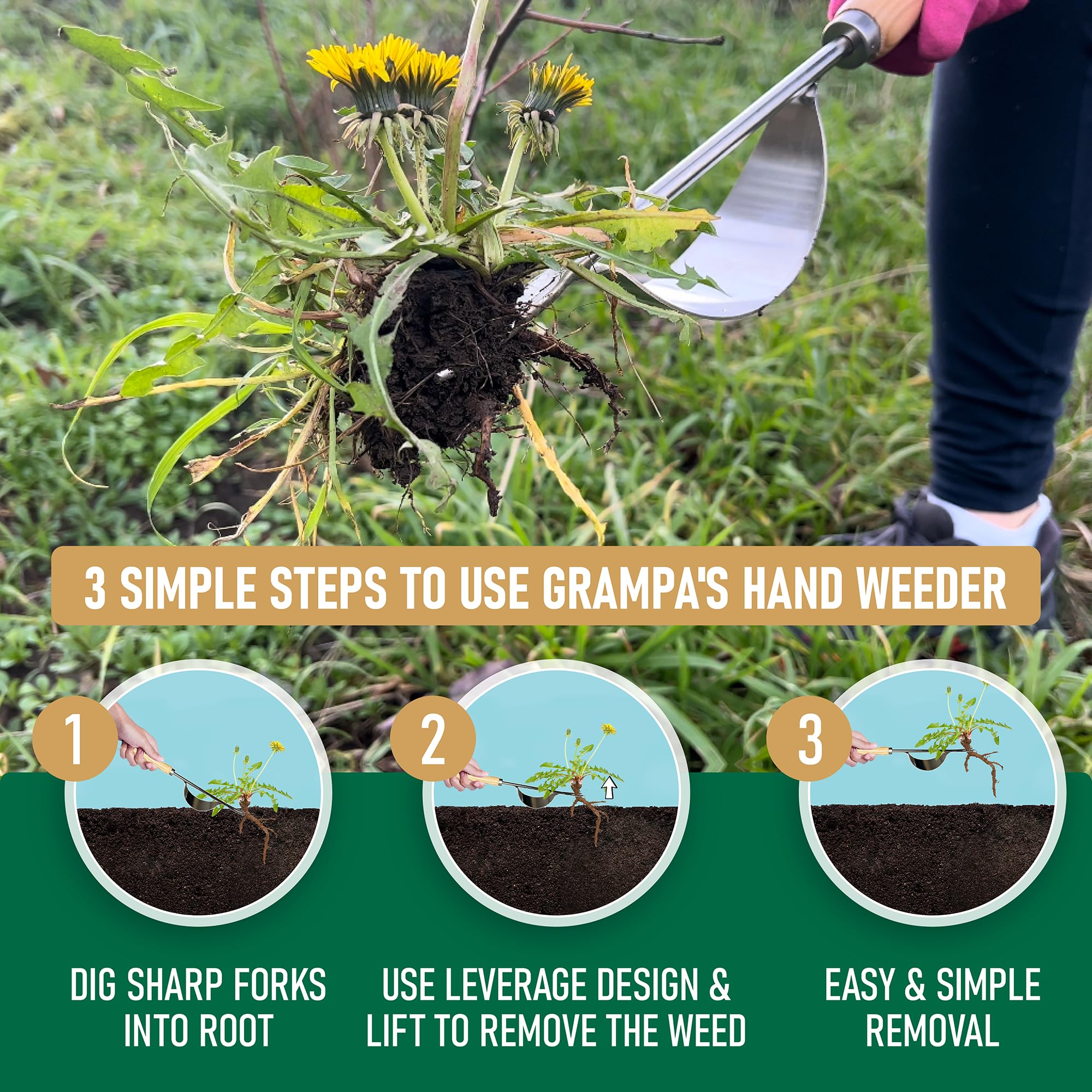Grampa's Weeder removes weeds without chemicals for a safer garden.
