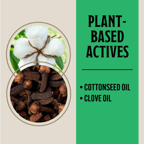 Grandpa Gus's Clove Oil-Label Closeup highlights natural scent and active ingredients.