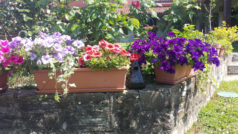 Grandpa Gus’s Mosquito Trap on a patio demonstrates family-friendly outdoor protection.
