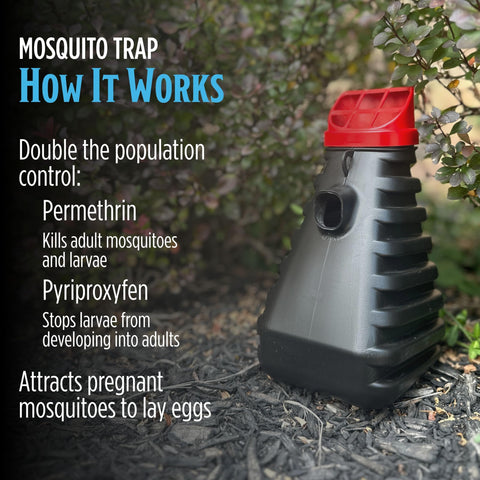 Grandpa Gus’s Mosquito Trap placed under bushes for discreet backyard protection.