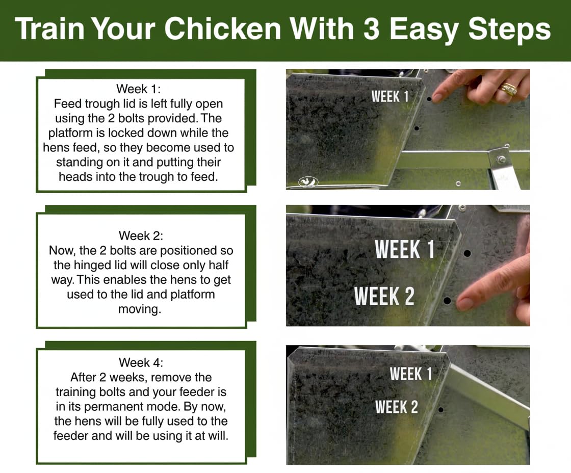 Grandpa's Feeders anti-mess grill prevents scattering in the coop.