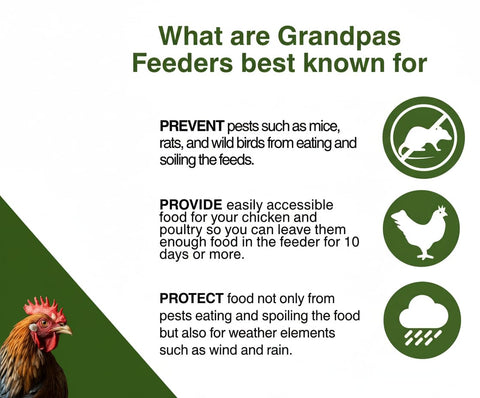 Grandpa's Feeders feed-on-demand system minimizes refills for 6–12 chickens.