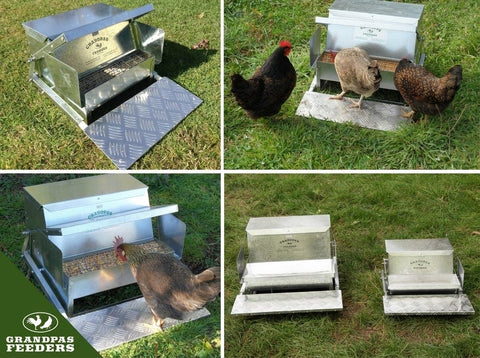 Grandpa's Feeders no-waste design reducing feed mess during daily use.