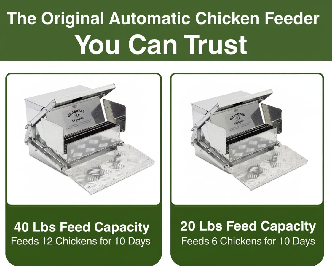 Grandpa's Feeders rodent-proof chicken feeder guarding feed from rodents.