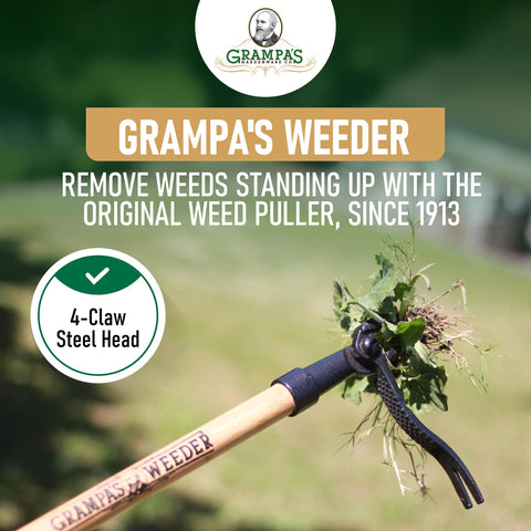 Grampa's Weeder 4-claw steel head grips weeds and pulls with roots.