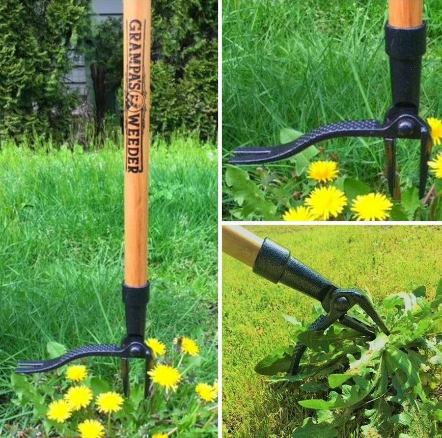Grampa's Weeder ideal for softer soils after watering.