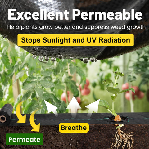 GRASSCLUB weed barrier installed in greenhouse area for cleaner surface