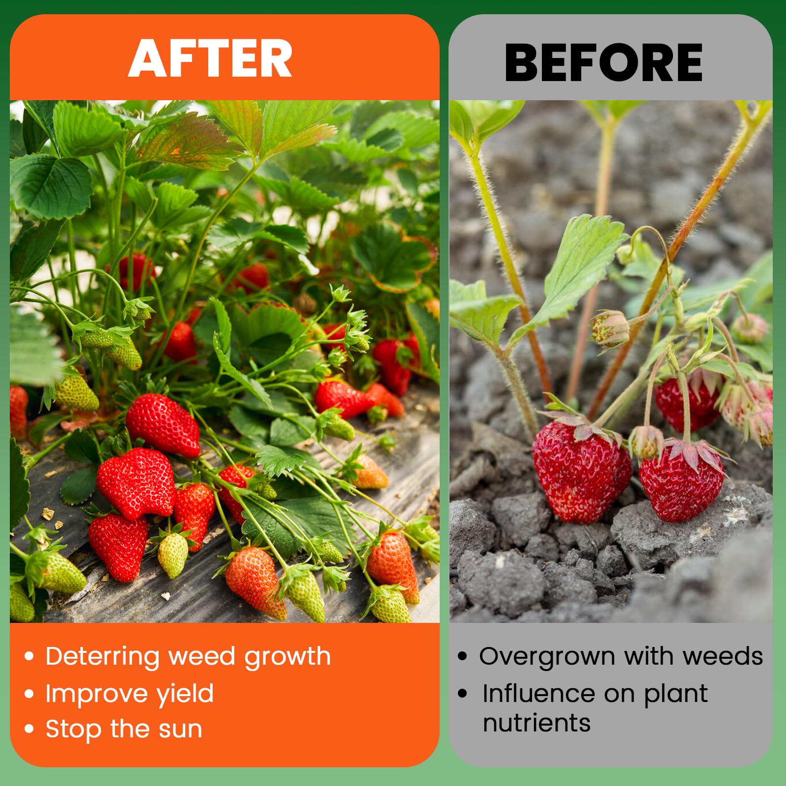 GRASSCLUB weed barrier fabric durability showcases long-lasting performance outdoors