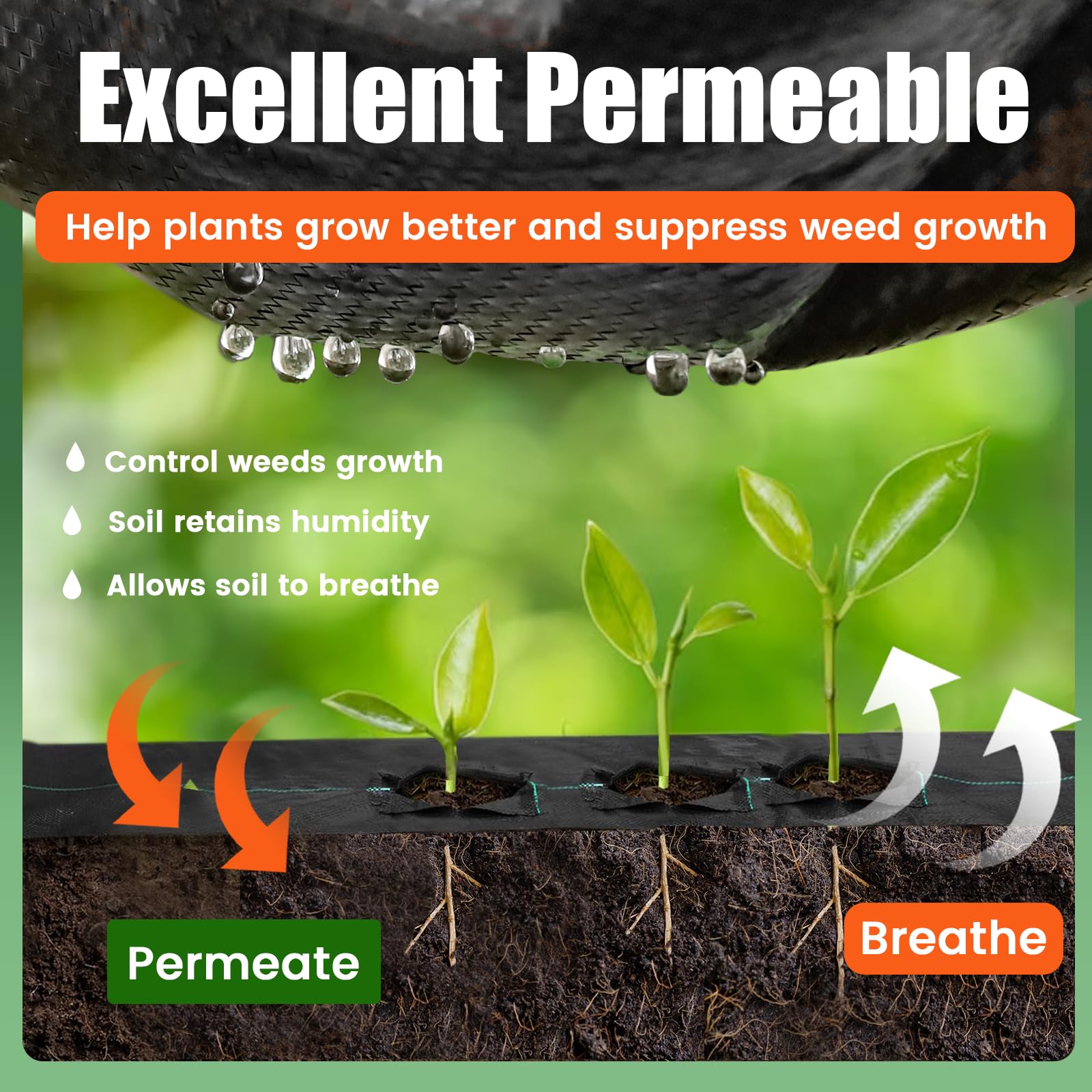 GRASSCLUB weed barrier on a garden path demonstrates effective weed suppression